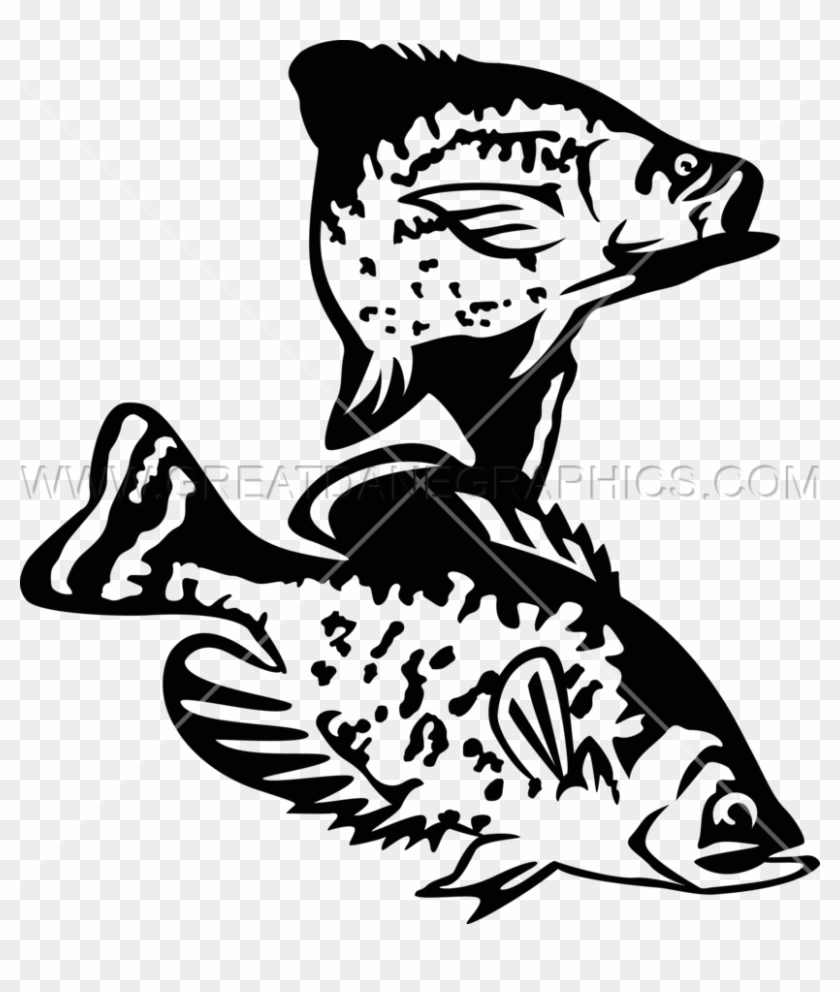 Crappie Vector - Crappie Illustration Black And White Clipart #612340