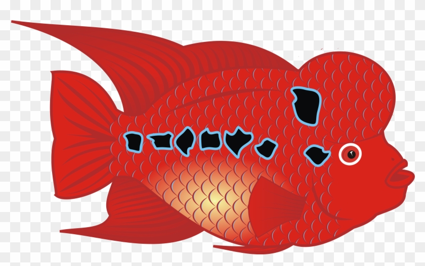 This Free Icons Png Design Of Flowerhorn Fish Clipart