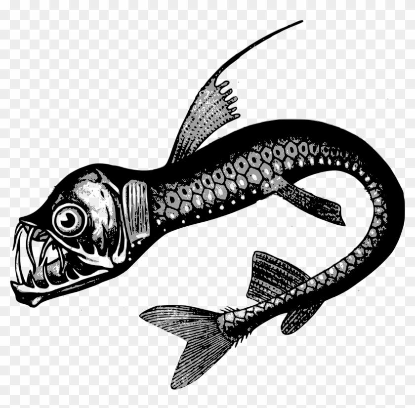 Big Image - Deep Sea Creatures Drawing Clipart #612425