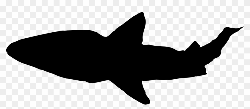 Free Download - Shark Silhouette Jpg Clipart #612610