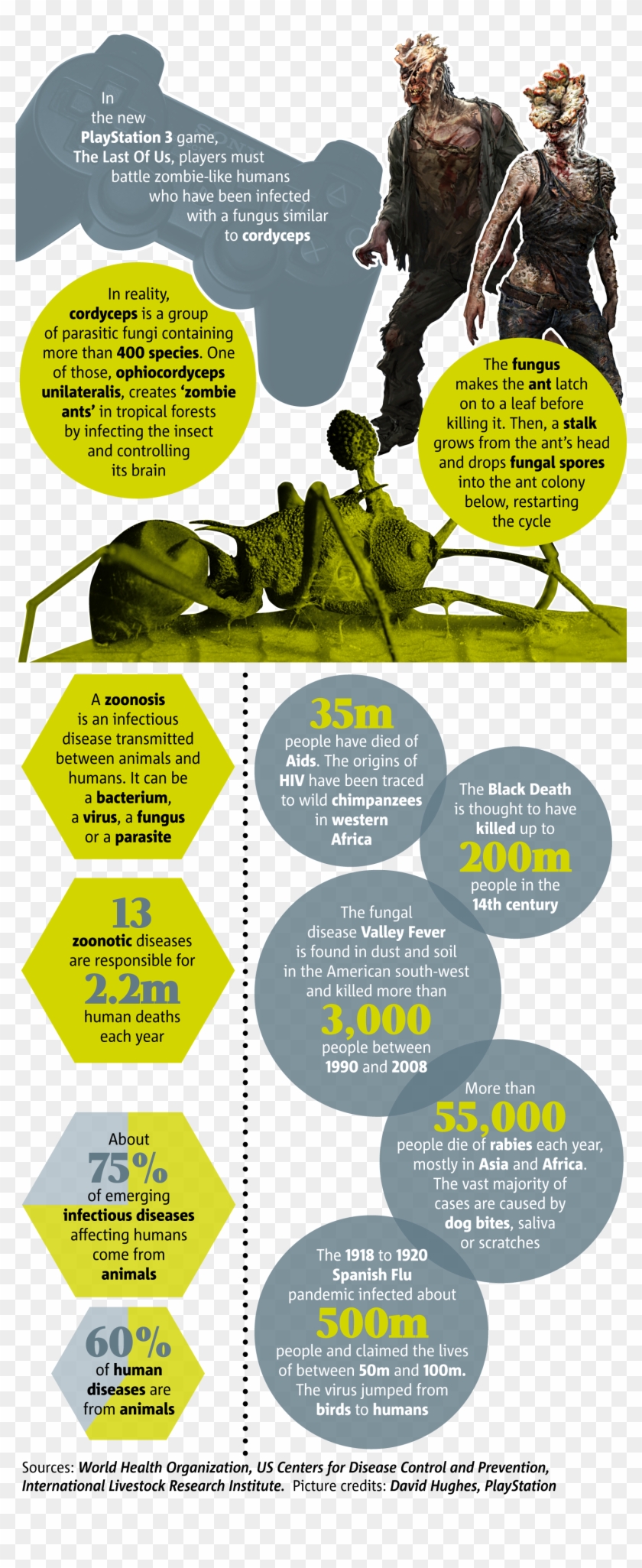 "the Last Of Us" Infographic - The Last Of Us Clipart #613423