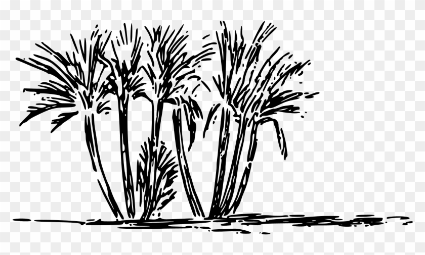 Tree Clump Clipart Icon Png - Desert Oasis Clipart Black And White Transparent Png #614031