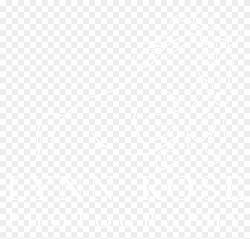 Sessions Lynn Rose Photography - Johns Hopkins Logo White Clipart #614468