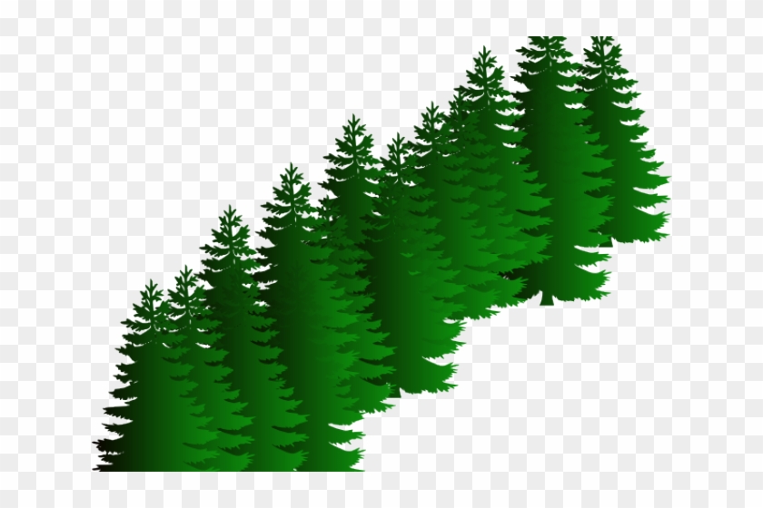 Fir Clipart Evergreen Tree - Pine Tree Silhouette - Png Download #615032