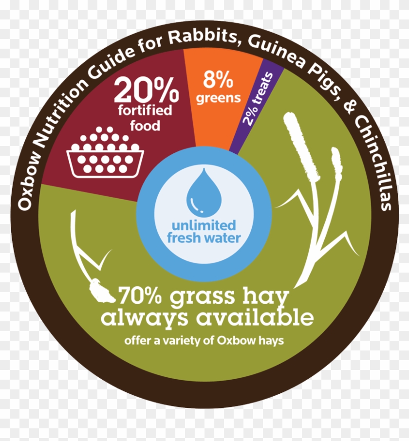 Your Chinchilla Is A Herbivore, Which Means He Eats - Guinea Pig Diet Wheel Clipart #618974