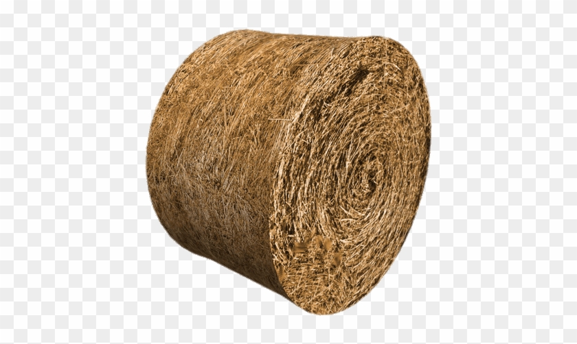 Download - Hay Bale Clipart - Png Download