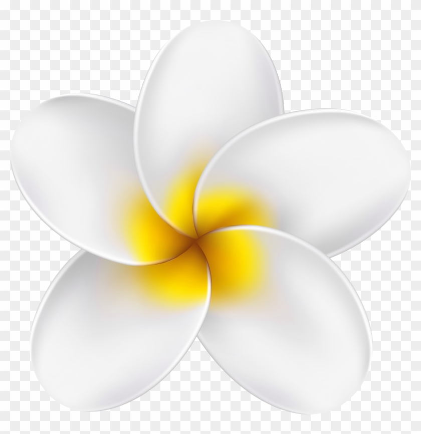 0, - Frangipani Clipart