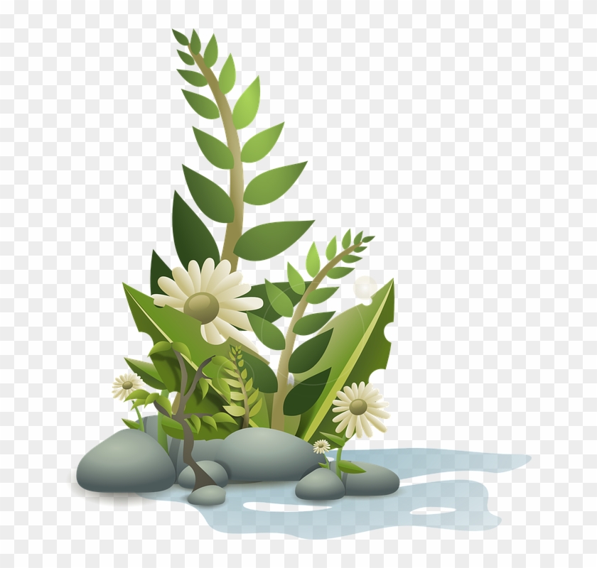 Flower, Plant, Tropical, Nature, Garden, Summer, Floral - Clipart Plants - Png Download