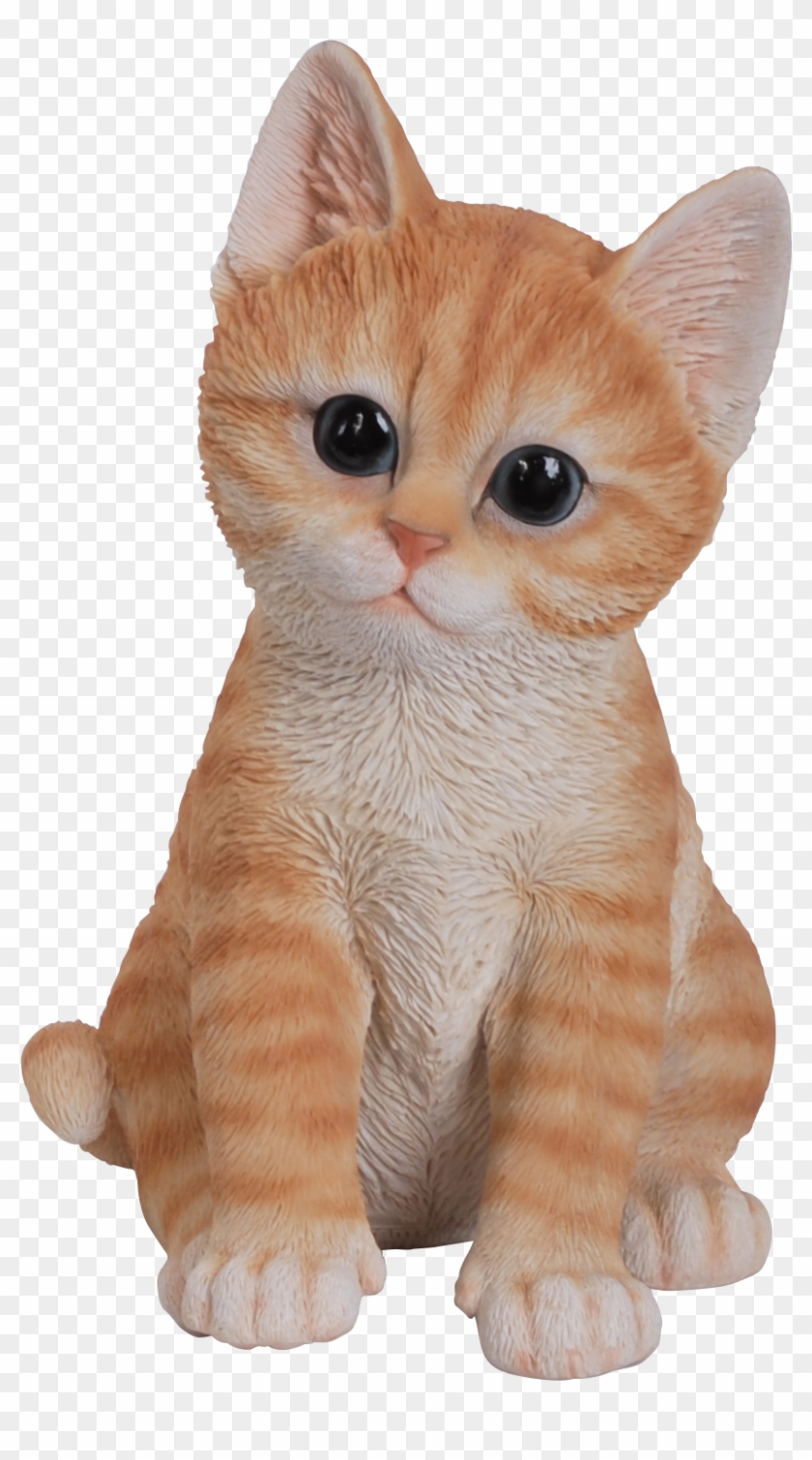 1234 X 1859 11 - Kitten Ginger Clipart