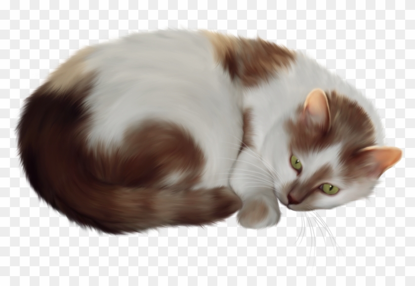 Cat Transparent Png Clipart #620130
