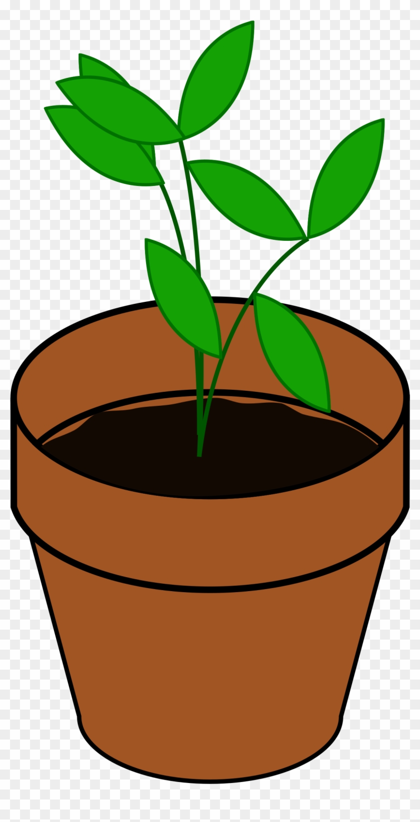 1536 X 2400 5 - Cartoon Image Of Plant Clipart #620161