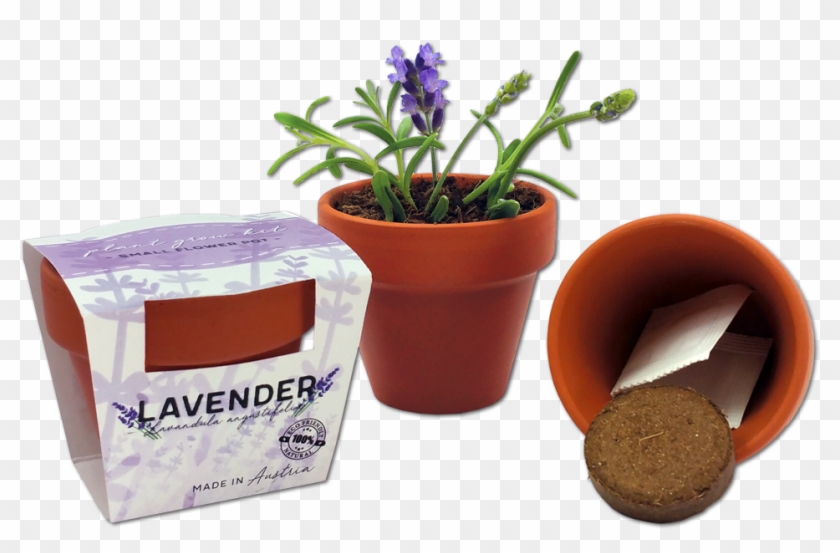 Customized Tiny Flower Pot - Tiny Plant Pot Clipart