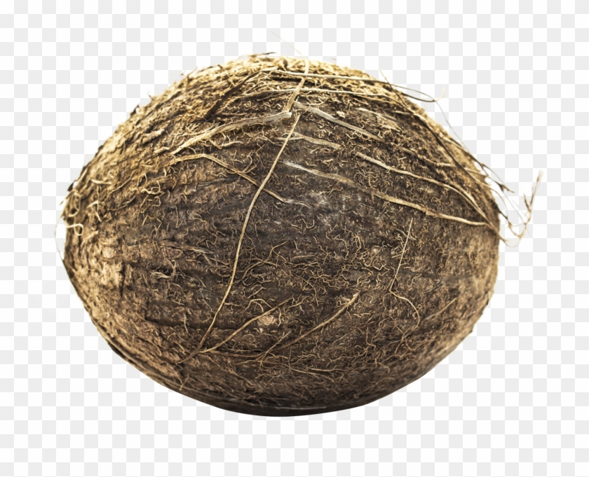 Coconut Png Transparent Image - Hay Clipart #620302