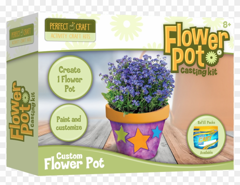 Perfect Flower Pot Casting Kit - Alpine Forget-me-not Clipart