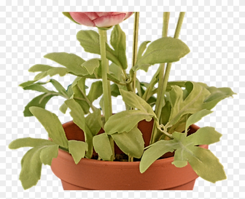 Flower Pot Png Transparent Flower Potpng Images Pluspng - Flowerpot Clipart #620859