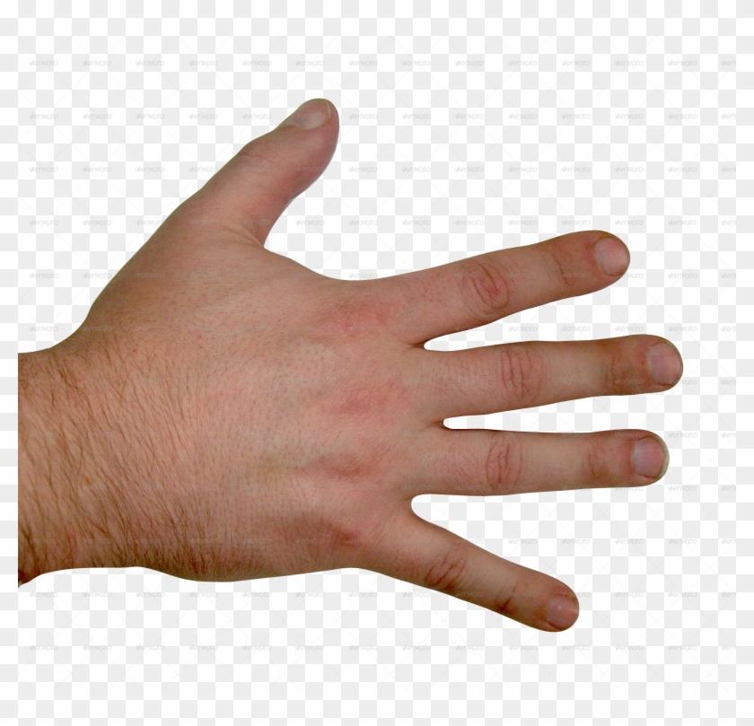 Finger Clipart Back Hand Pencil And In Color Finger - Back Of Hand Transparent - Png Download