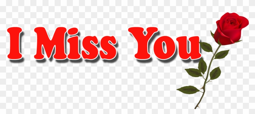 I Miss You Png Hd Pics I Love U Png Hd - Floribunda Clipart