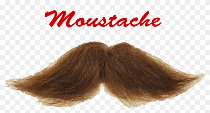 Moustache Png Picture - Wig Clipart