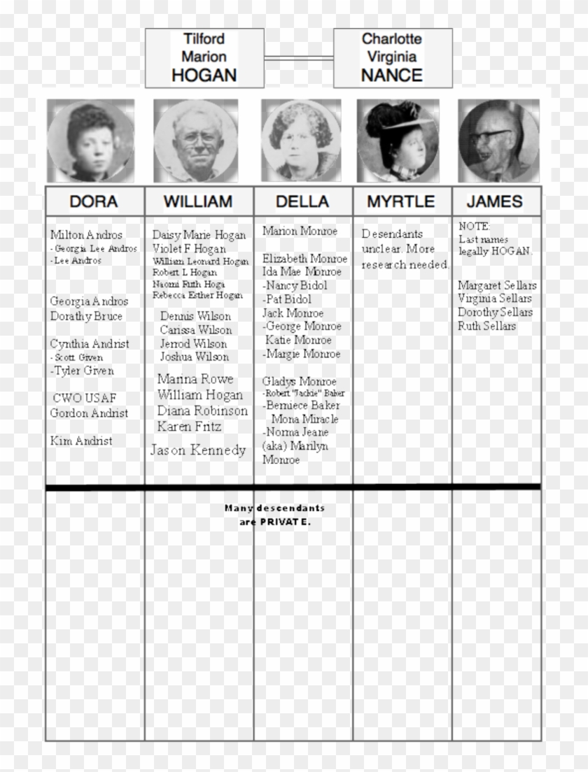 Hollywood And Marilyn Herself Lied About Her Family - Marilyn Monroe Family Tree Clipart