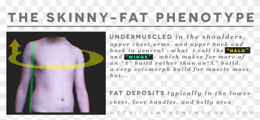 What Is A Skinny-fat Ectomorph - Skinny Fat Characteristics Clipart #624739