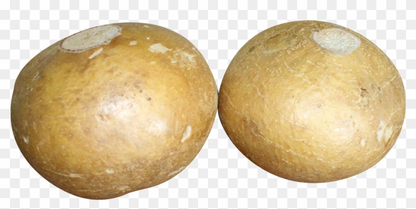 Jicamas Png Clipart