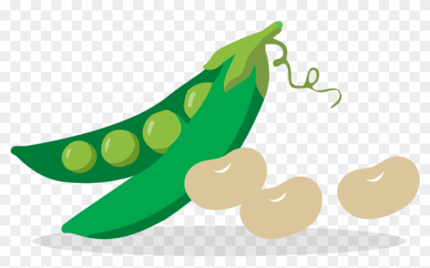 Free Png Download Vegetable Png Images Background Png Clipart #625296