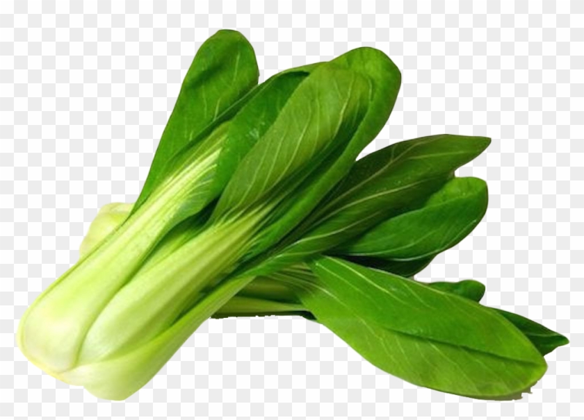Bok Choy Vegetable Transparent - Bok Choy Png Clipart #626123