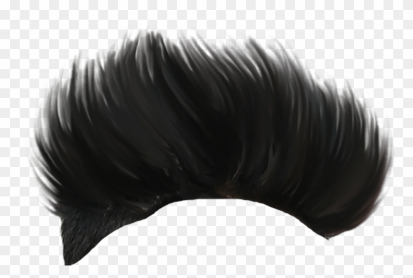 Hair Png Hair Png Clipart