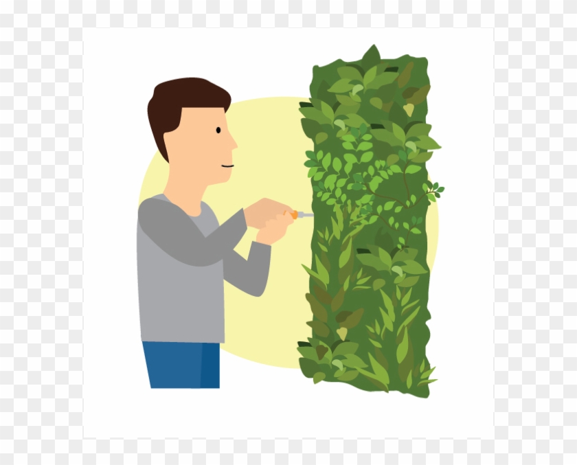 Gyprock/plasterboard Our Preference Is To Screw Directly - Illustration Clipart