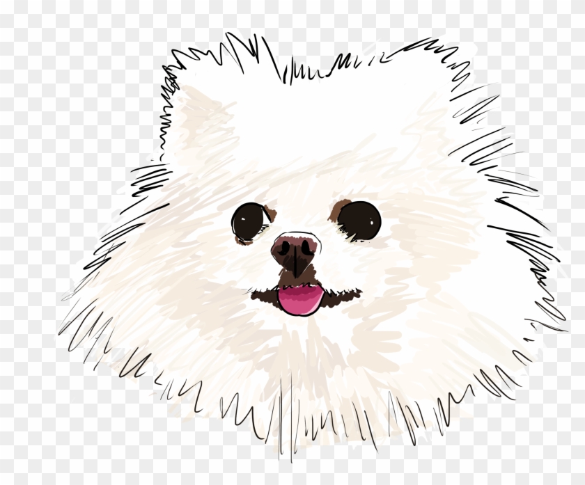4 Why Are You A Pomeranian - Pomeranian Clipart #630489