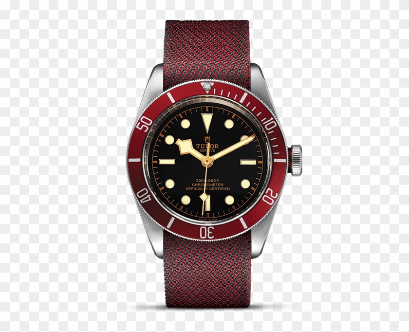 Lady Gaga's Selection - Tudor Black Bay Clipart