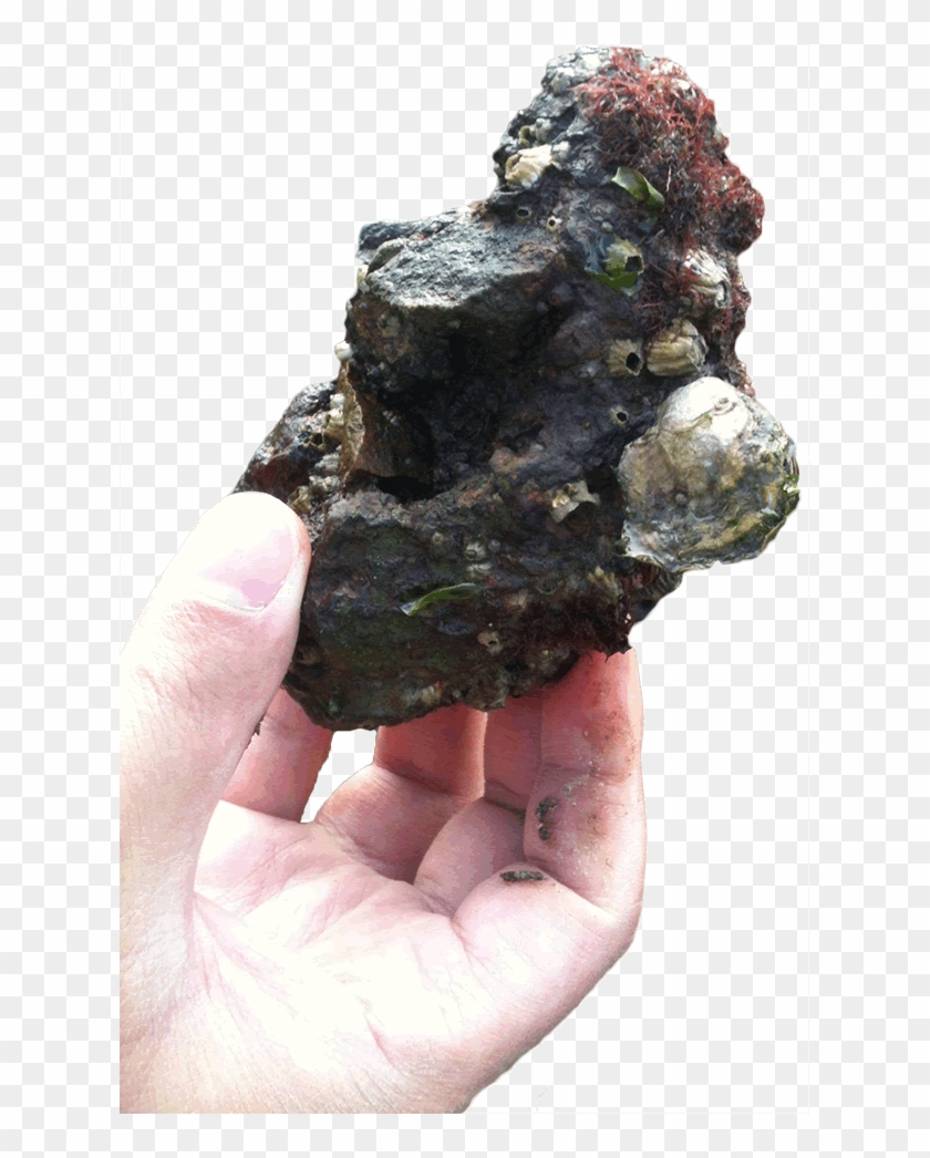 Igneous Rock Clipart