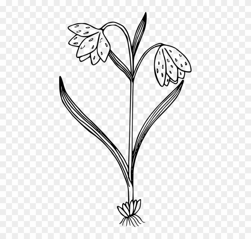Wild Flowers Png Black And White Clipart #630965