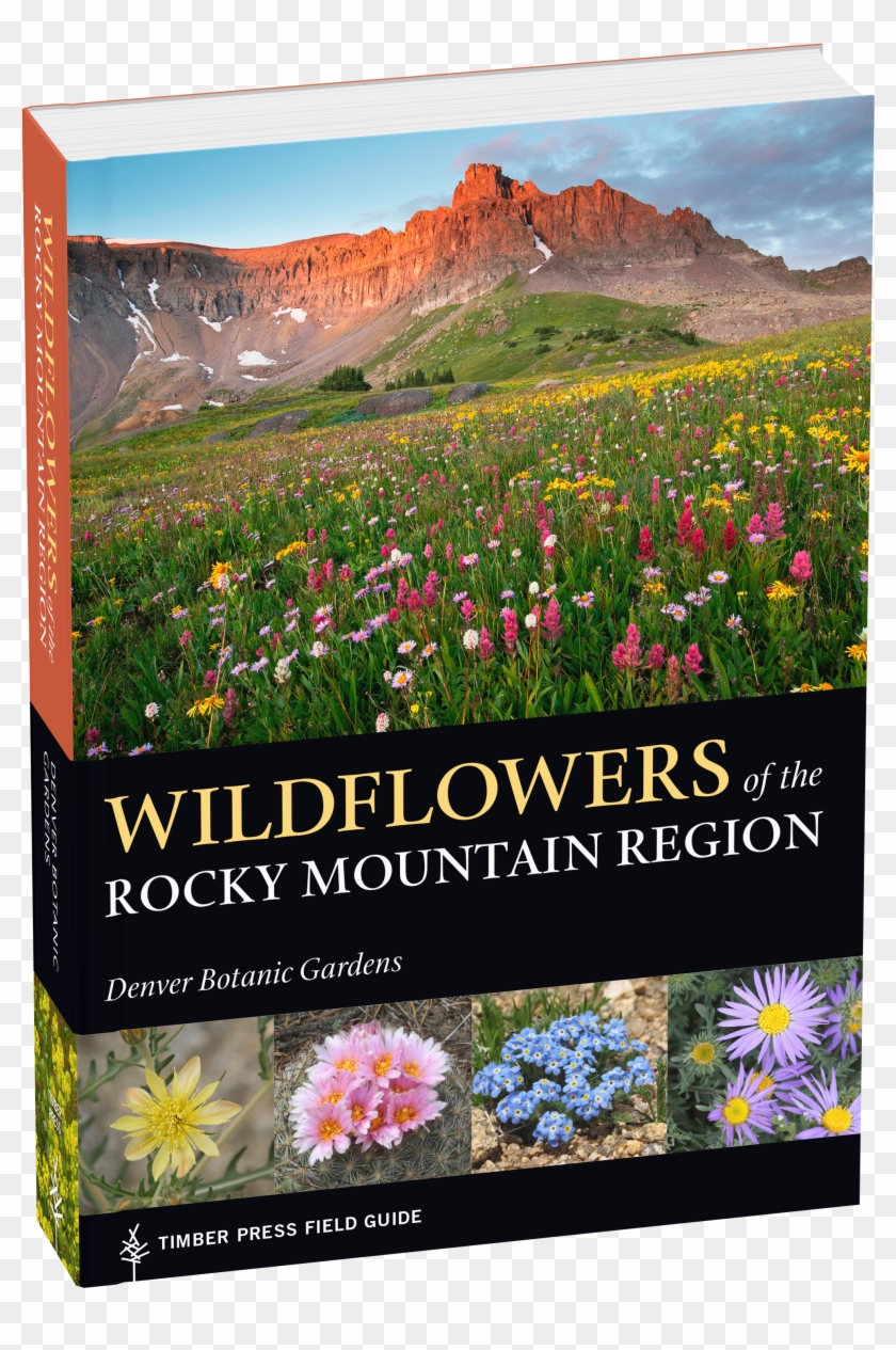 Mountain Wildflowers Clipart