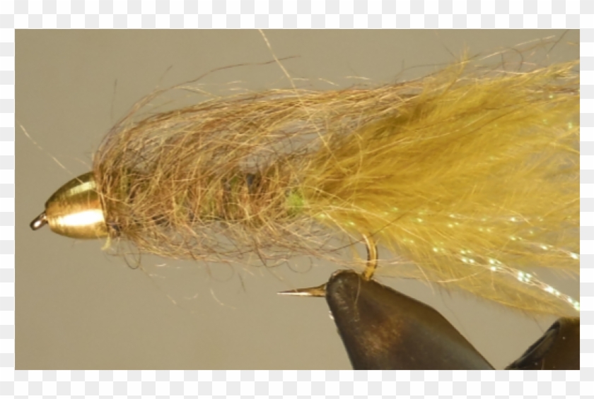 Bite Me Bugger - Insect Clipart