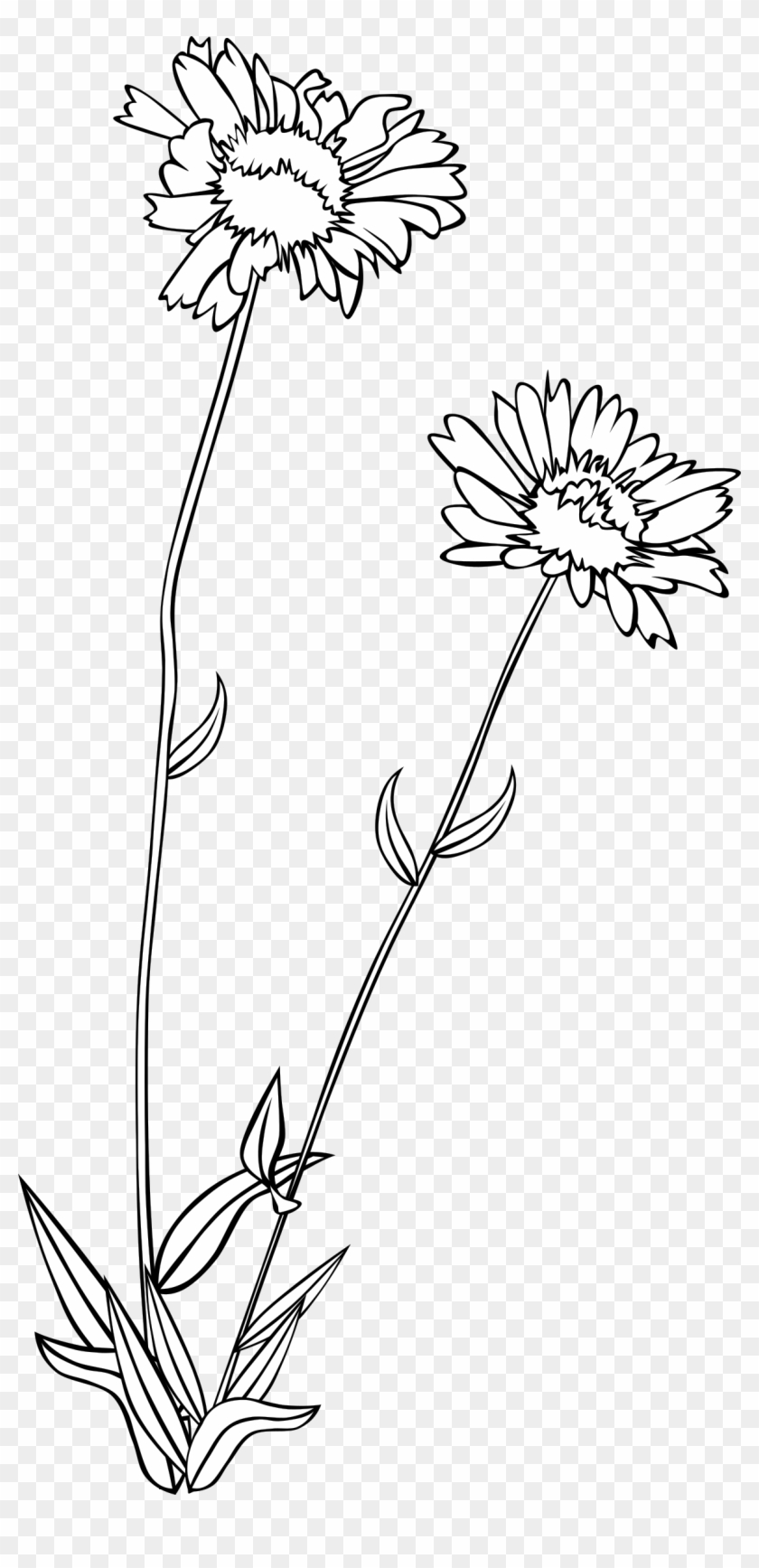 Big Image - Black And White Wildflower Clipart #631329