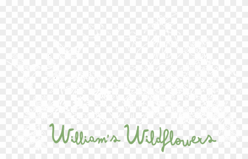 William's Wildflowers - Illustration Clipart #631568