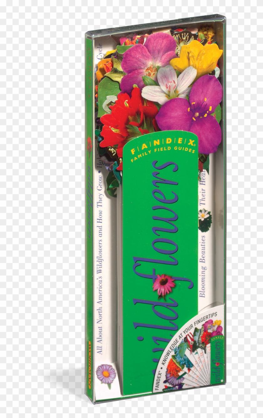 Loading Zoom - Fandex Family Field Guides: Wildflowers Clipart
