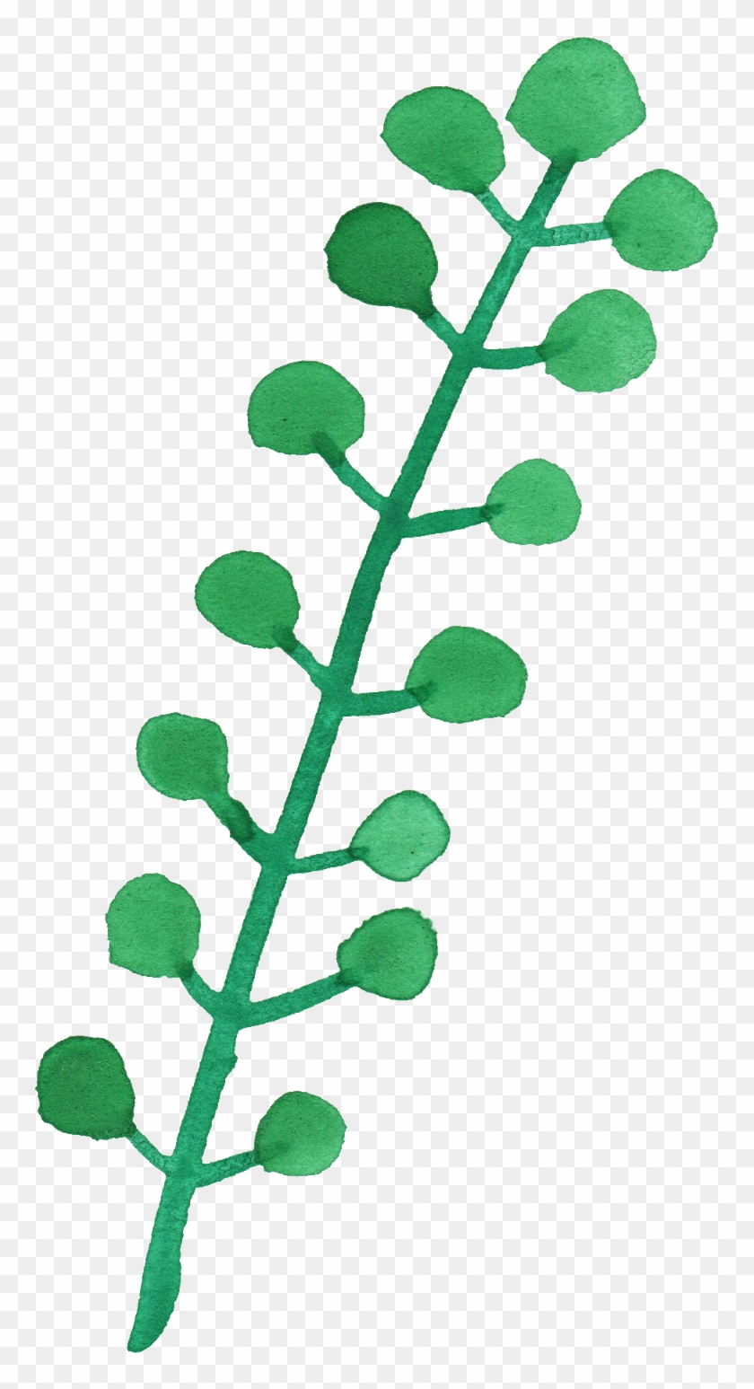 Free Download - Transparent Leaf Watercolor Png Clipart