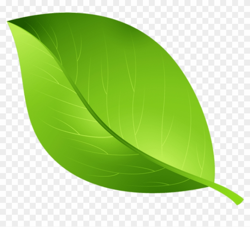Free Png Download Green Leaf Transparent Png Images - Leaf Clipart Transparent Background #632362