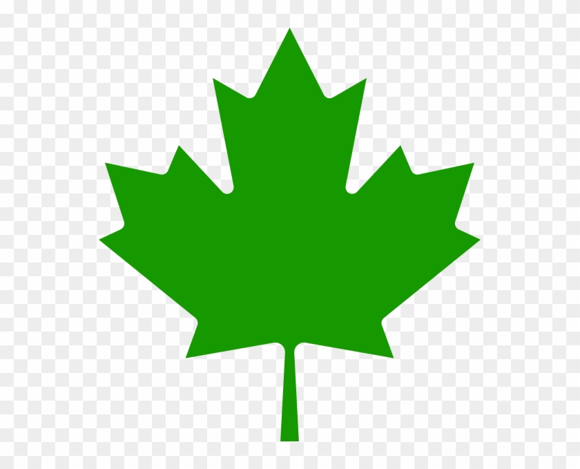 Aaevp Leaf - Canadian Maple Leaf Clipart #632409