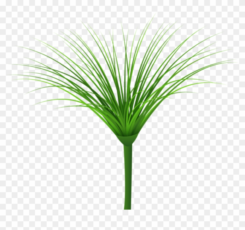 Free Png Tropical Green Leaf Png Images Transparent - Portable Network Graphics Clipart