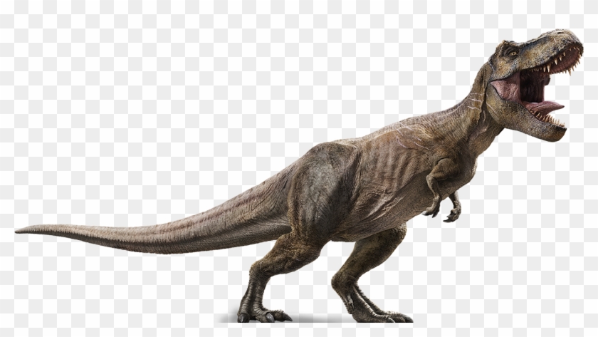 Jurassic Park Dinosaur Png - Tiranosaurio Rex Jurassic World Clipart #634133