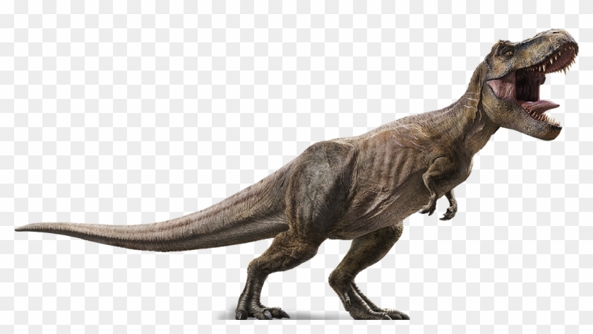Jurassic Park Dinosaur Png - Tiranosaurio Rex Jurassic World Clipart