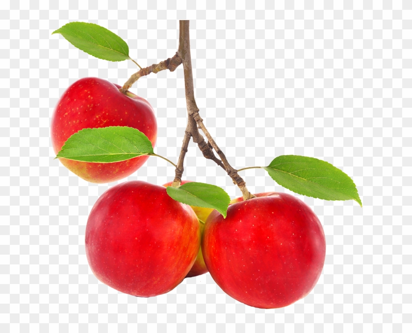 Apple Tree Png - Red Apples Tree Png Clipart #634165
