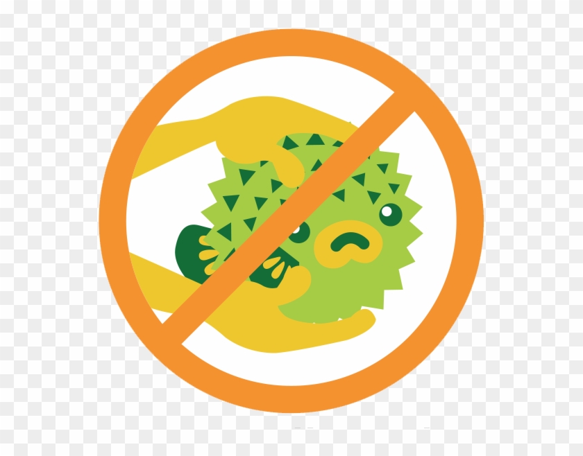 Do Not Collect Deador Alive Marine Life - Circle Clipart #634649