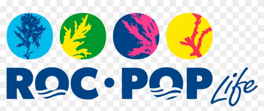 Rocpop-life Project - Emblem Clipart