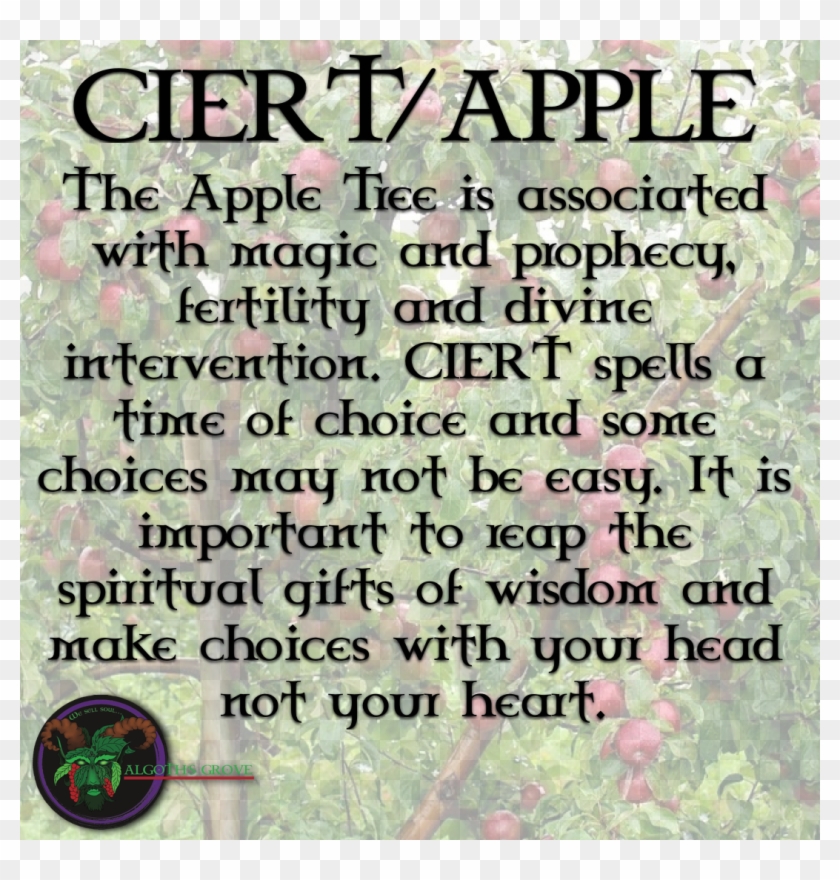 Apple Tree - Poster Clipart #636143