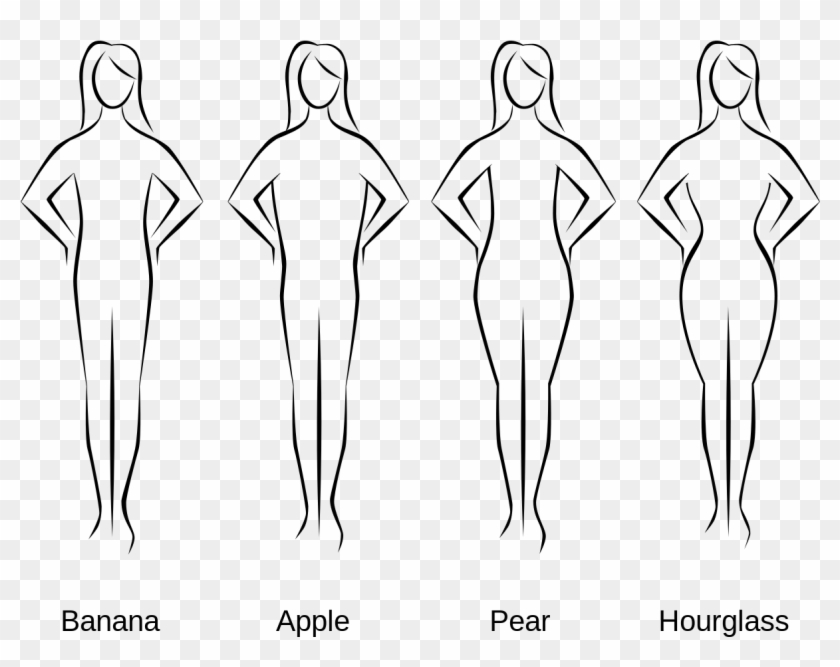 Different Types Of Body Curves Clipart #637067