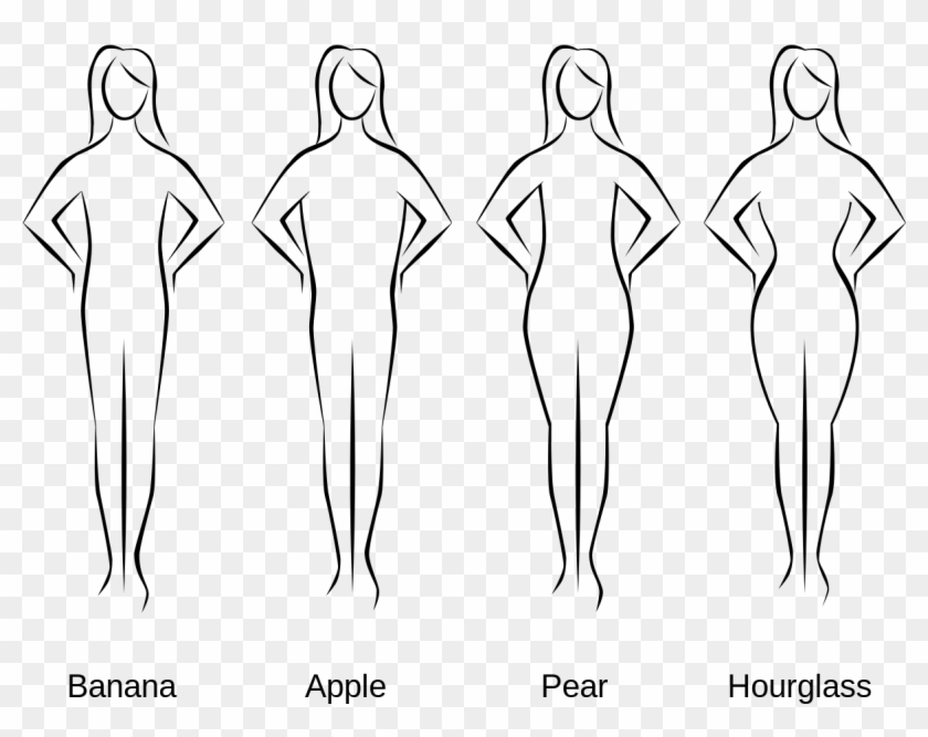 Different Types Of Body Curves Clipart